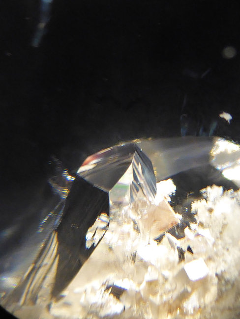 P1070954s.jpg