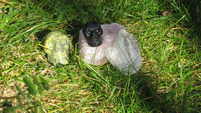 Zwei &quot;Doktoren&quot; im Garten