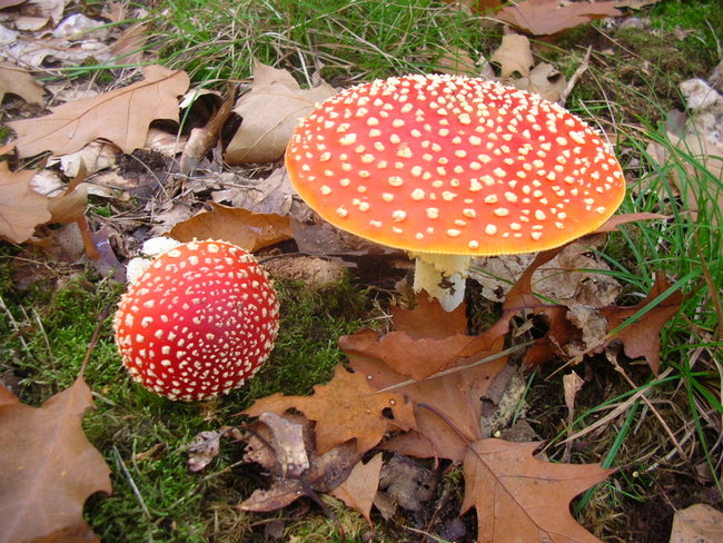 DSCN9996.JPG
