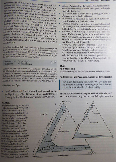 P1080552s.jpg