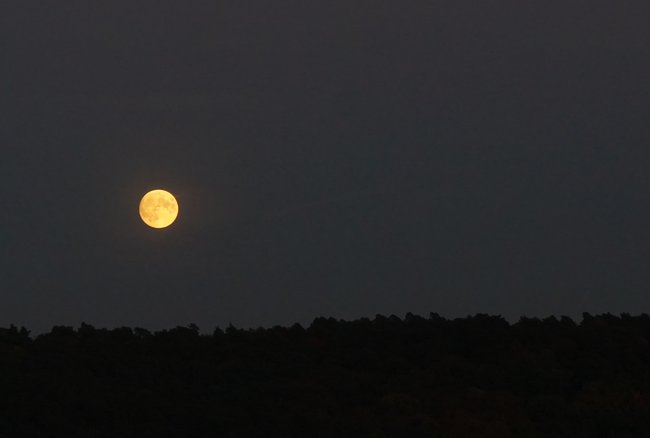 mond.JPG