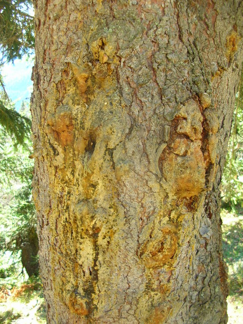 DSCN9787.JPG