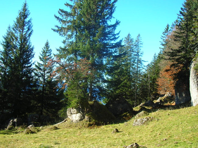 DSCN9782.JPG