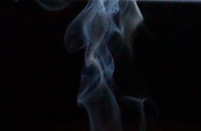 050.JPG