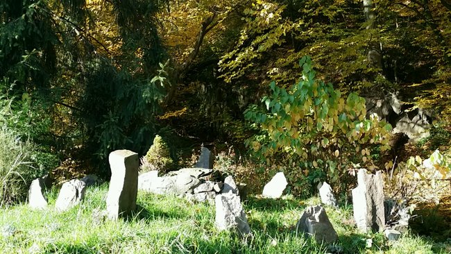Steinkreis im Herbst