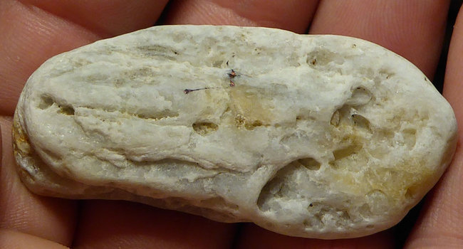 P1080906s.jpg