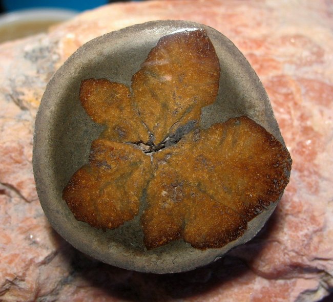 Glendonit (8).JPG