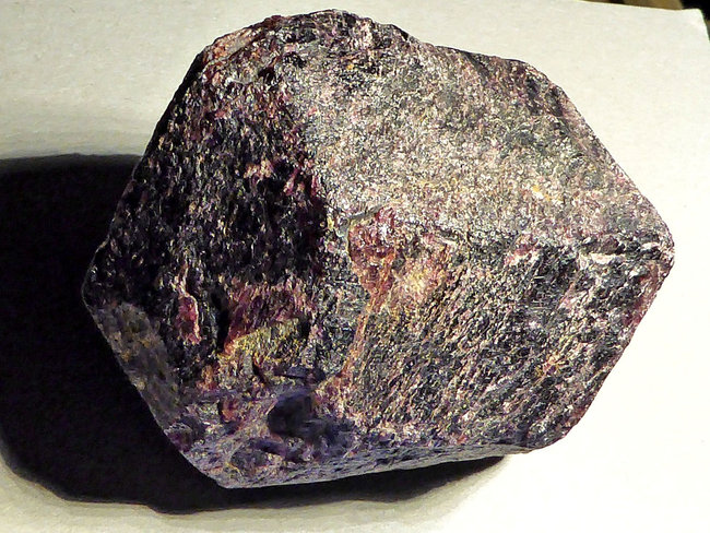 P1100027s.jpg