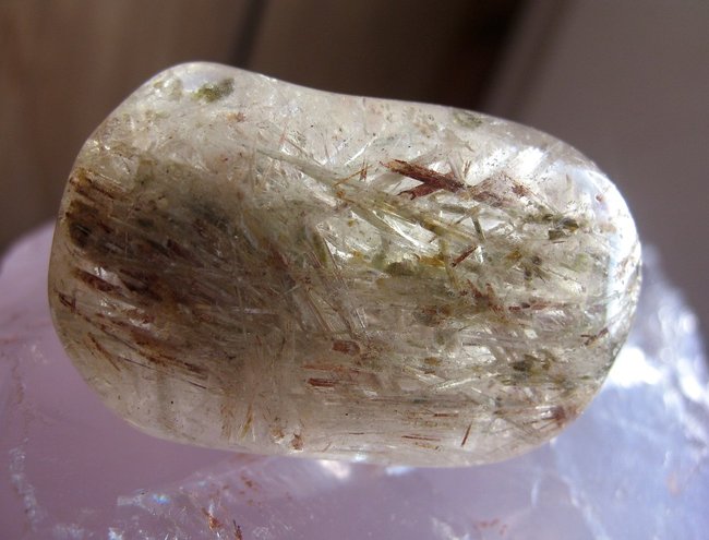 Witches Finger.JPG
