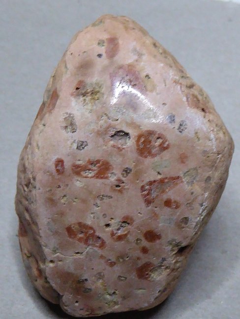 P1110452s.jpg
