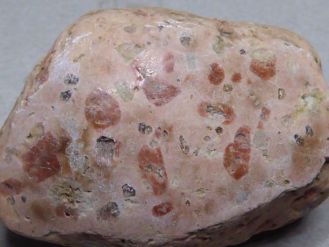 P1110448s.jpg