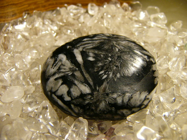 Porphyrit Chrysanthemenstein