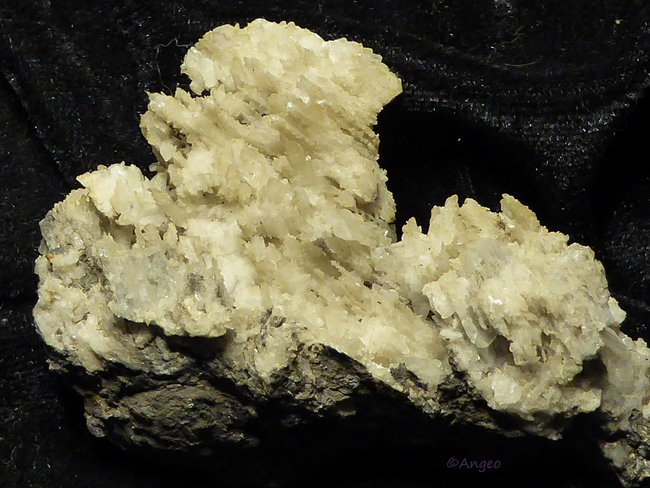 P1110910s.jpg