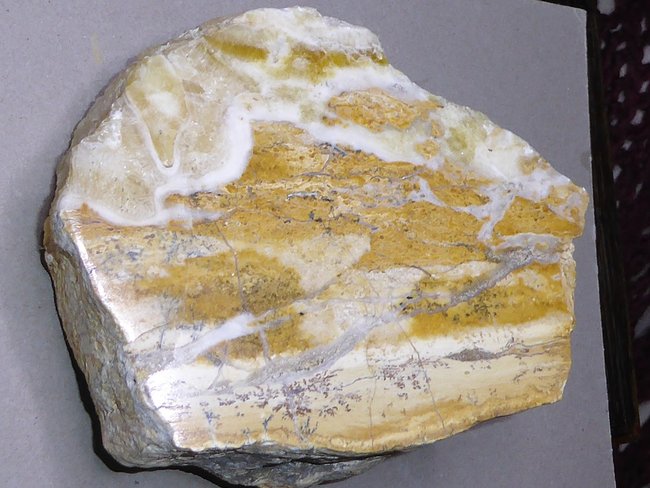 P1110983s.jpg