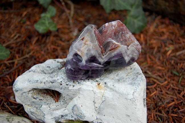 Sariki