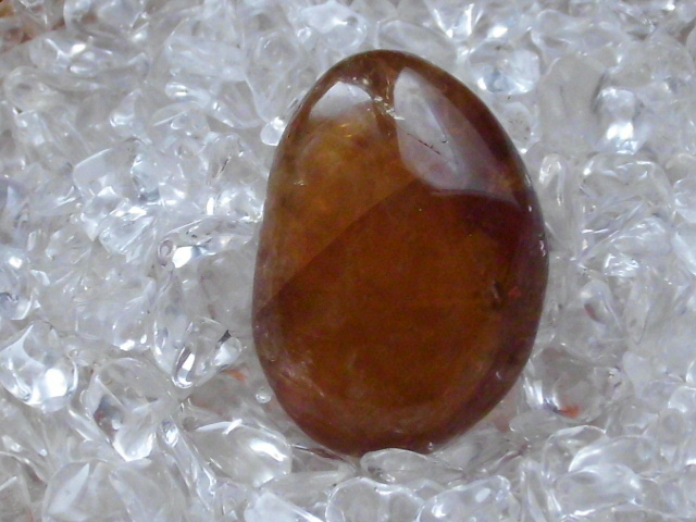 DSCI0231.JPG