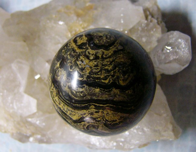 Stromatolith