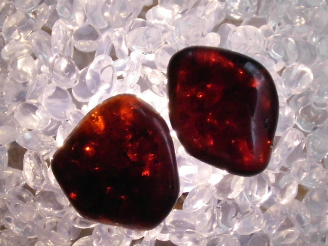 DSCI0248.JPG