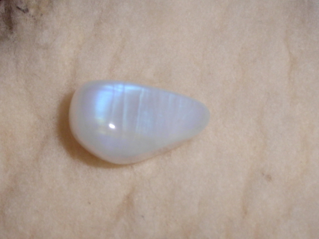 DSCI0261.JPG