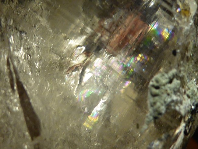 P1130420s.jpg