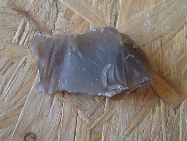 Fischli
