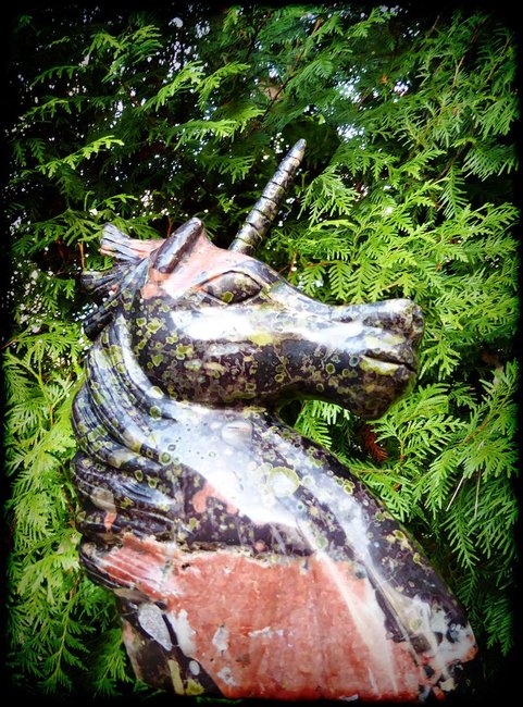 Unicorns1.jpg