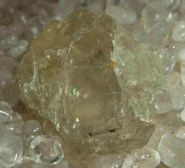 Orthoglas_gold.JPG