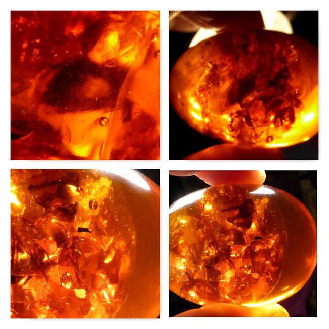 PhototasticCollage-2015-12-16-19-59-57.jpg