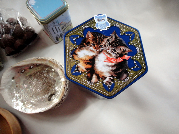 DSC06535a.jpg