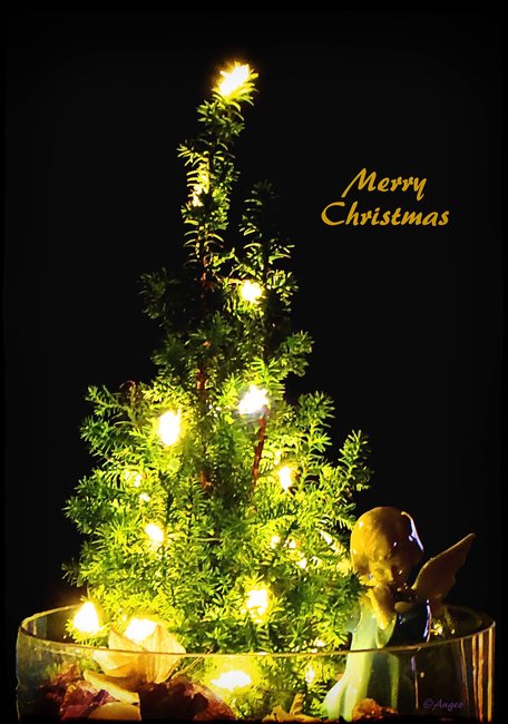 Merry Christmas.jpg