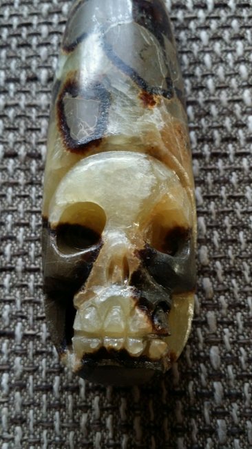 Septarie