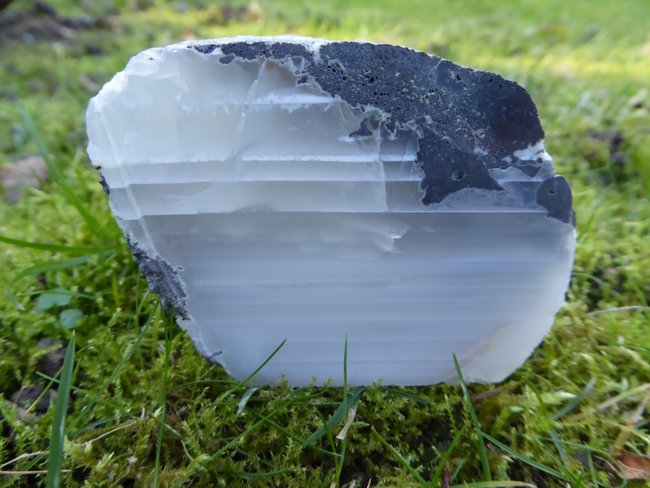 Vorderseite (1)