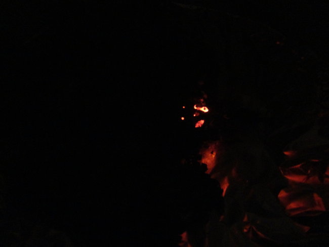 DSC06559b.jpg