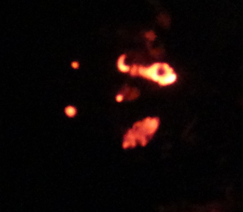 DSC06559a.jpg