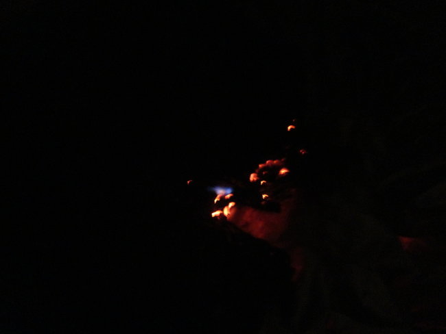 DSC06560b.jpg