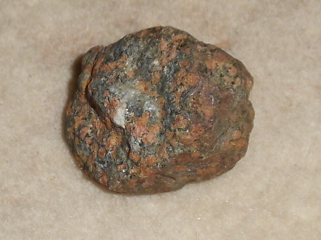 DSCI0422.JPG