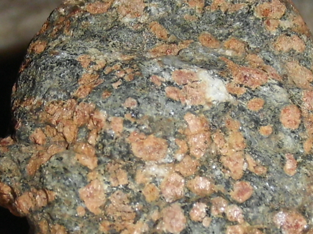 DSCI0425.JPG