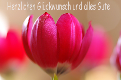 IMGP4740klein.jpg