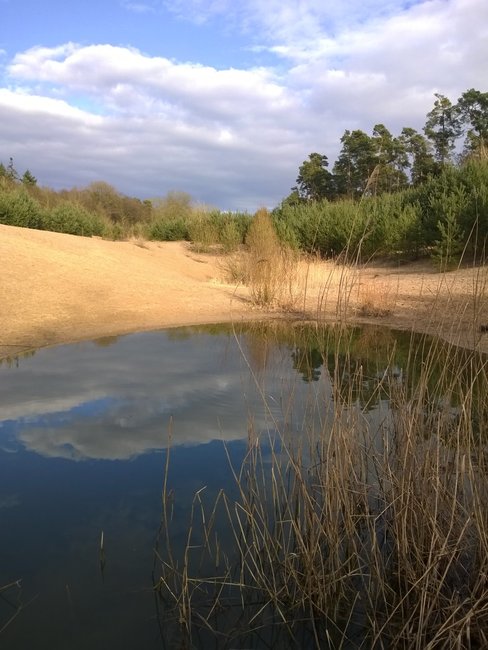 WP_20150301_025.jpg