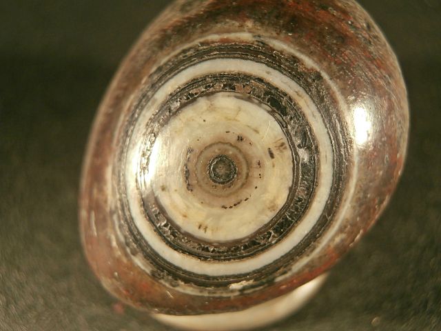 P1100010.jpg