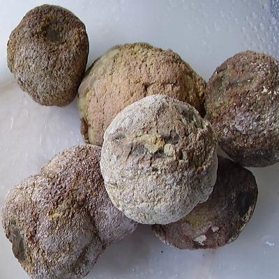 Thundereggs aus Padagonien etwas größer als Hühnereier