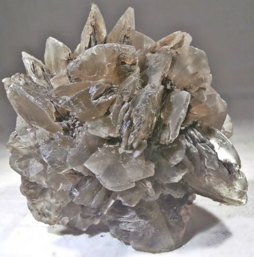 Gipsrose