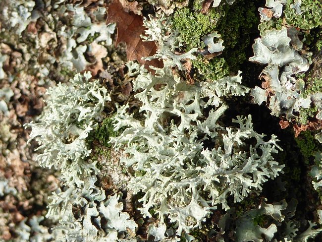 P1220188s.jpg