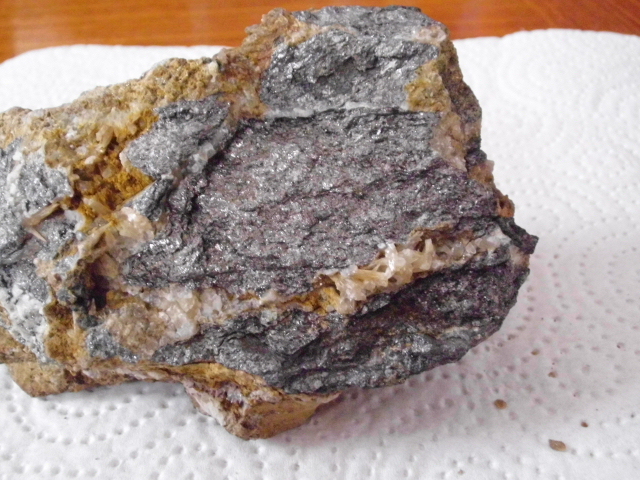 DSCI0638.JPG