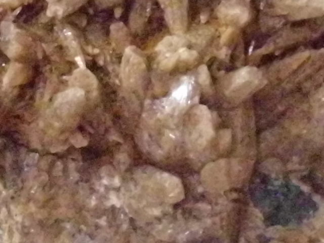DSCI0639.JPG