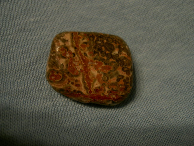 PICT0512.JPG
