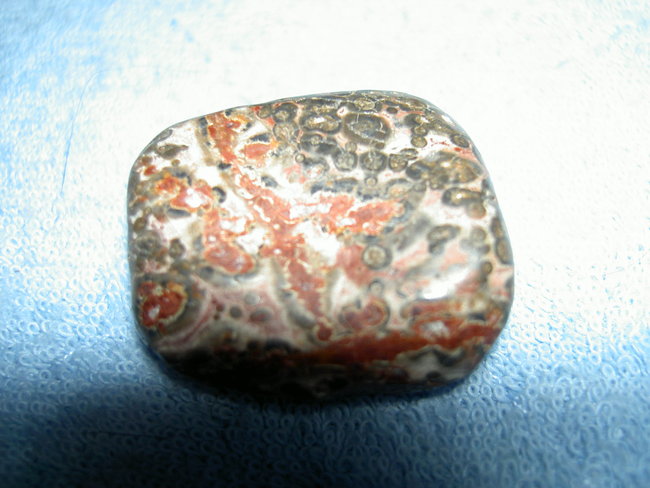 PICT0511.JPG