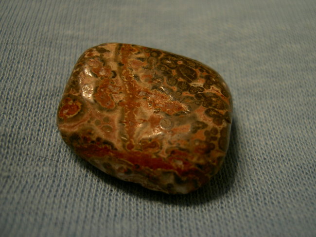 PICT0513.JPG