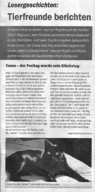 gedruckter Artikel