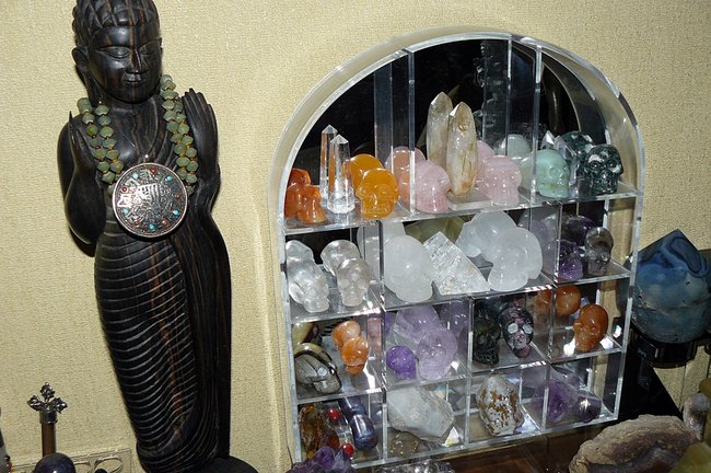 Neues zu Hause für meine kleinen Skull